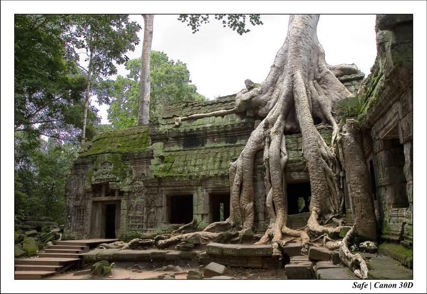 2006 - 07 - Temple angkor - Ta Prohm 17